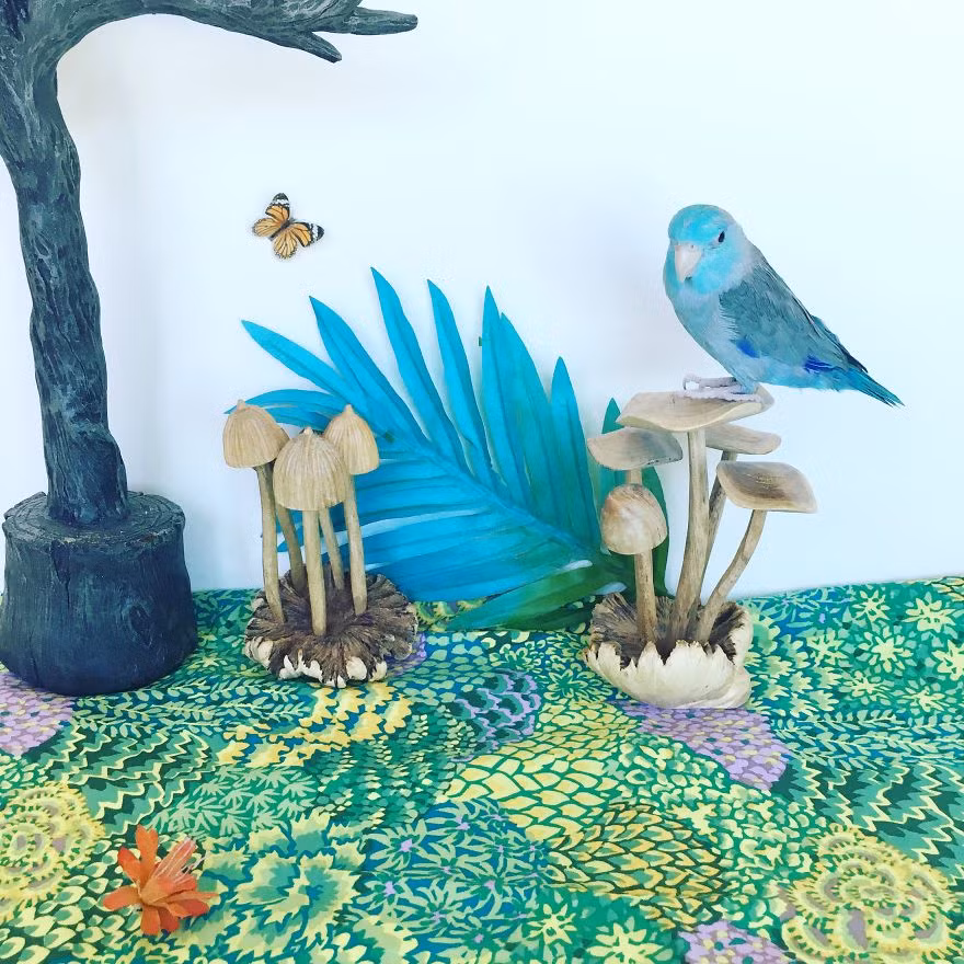 Nhiều người cho biết, cuộc sống qua ảnh của Chicken và Stan Lee truyền cảm hứng cho họ. (Nguồn Bored Panda)