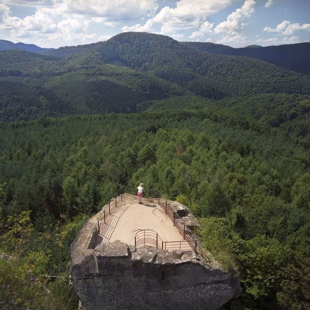 Kể từ khi hiệp định Schengen được ký kết, đường biên giới giữa các quốc gia châu Âu được xóa nhòa. Giữa Pháp và Đức là một khoảng rừng xanh mướt.