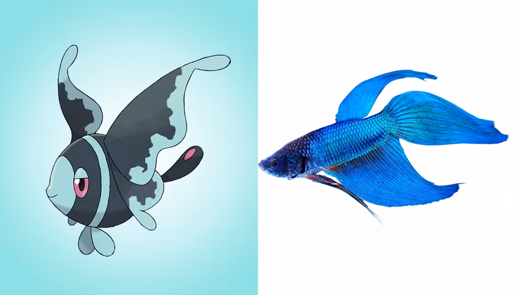 Lumineon là một Pokemon giống cá có vảy màu xanh đậm, đôi mắt màu hồng, khuôn mặt và mí mắt xanh nhạt, sáng hơn. Lumineon có hai cặp vây ngực lớn tương tự như cánh bướm. Ngoại hình của nó hao hao như loài cá chọi xiêm, một trong những loài cá cảnh nước ngọt đẹp nhất.