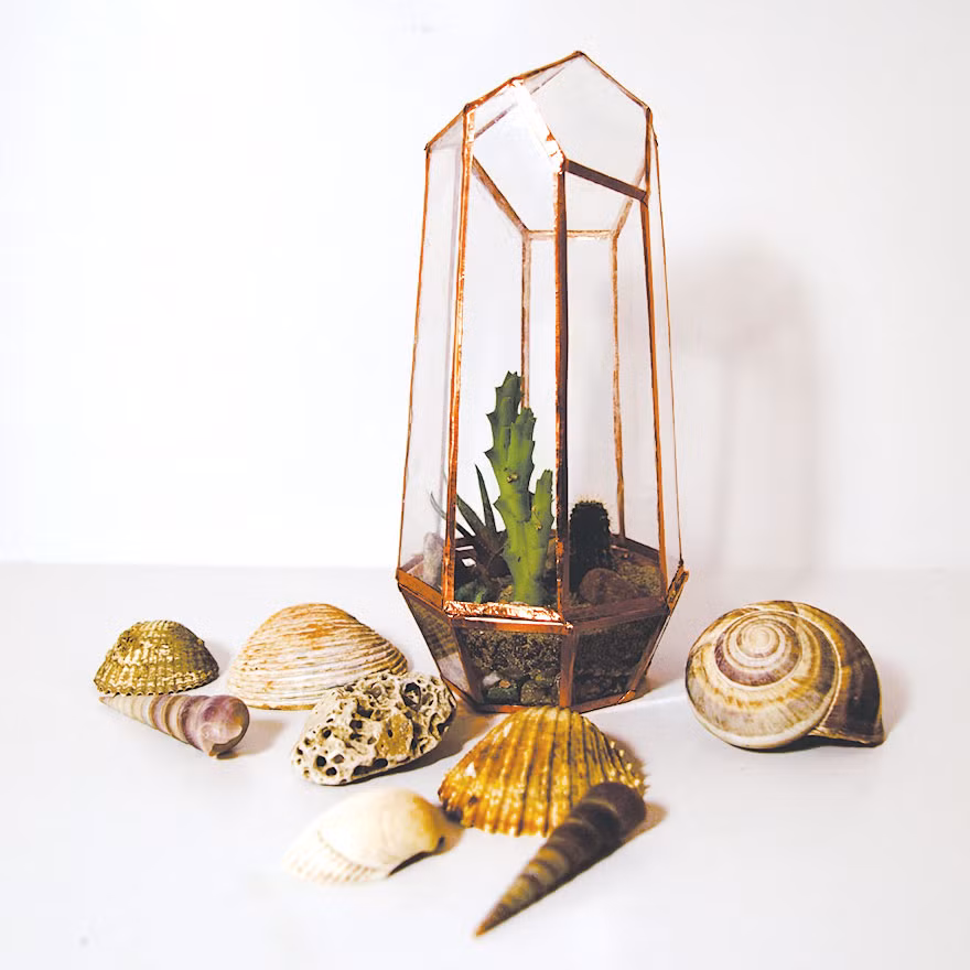 Nhà kính mini hay vườn ươm thực vật mini là một trong những vật trang trí nhà cửa rất được yêu thích. Tuy nhiên giá thành cho một nhà kính mini không hề rẻ, đặc biệt là với những nhà kính mini có thiết kế độc đáo. Thế nhưng, chỉ cần có óc quan sát, một chút khéo léo, bạn sẽ sở hữu một nhà kính mini cực cool như thế này. (Nguồn Bored Panda)