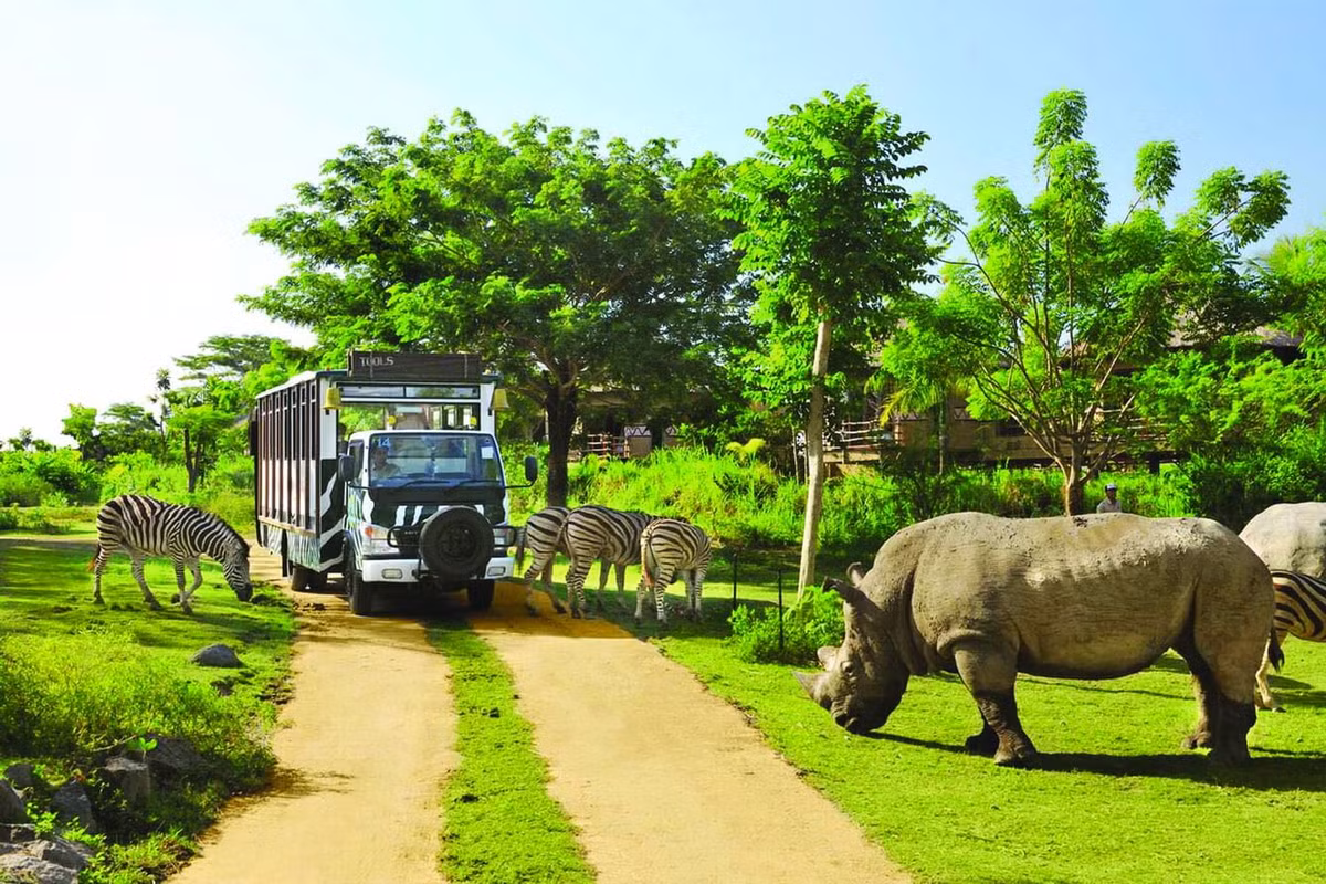 Hiện tại, vườn thú Vinpear Safari gồm hai phân khu chính, khu vườn thú mở dành cho khách tham quan giữa các khu vực nuôi thú mở; khu bán hoang dã chở khách tham quan bằng xe chuyên dụng.