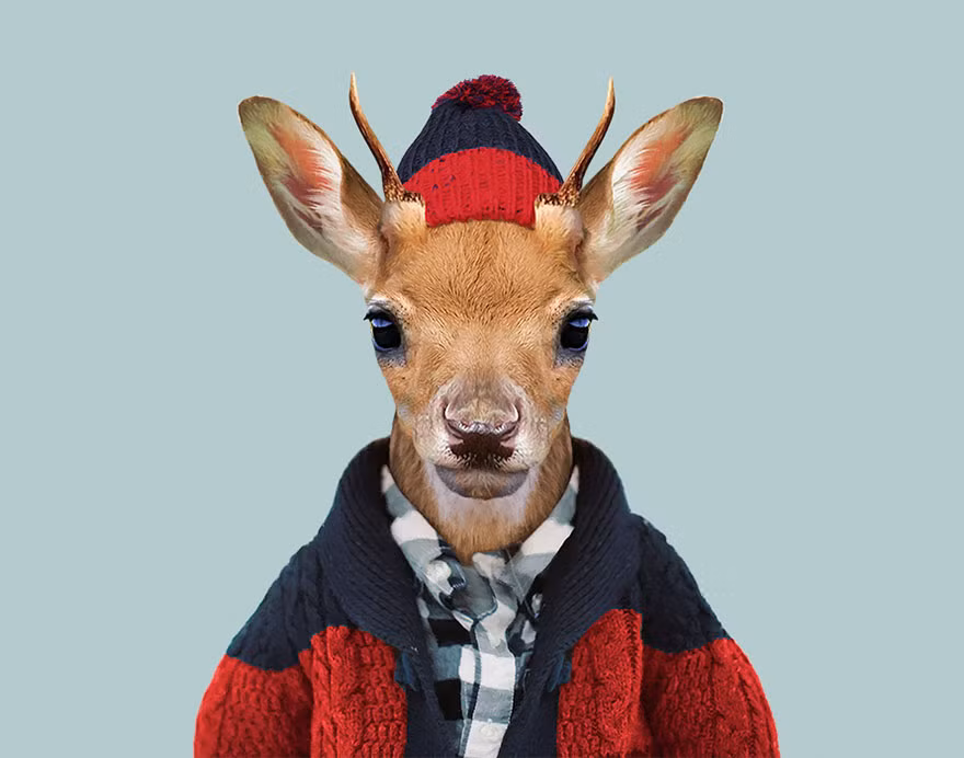 Hươu đứng đắn và hoài cổ với kiểu áo len khoác ngoài dày dặn, ấm áp. (Nguồn Bored Panda)