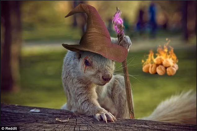 Sóc xám hóa thành phù thủy đầy quyền năng và rất hung dữ. (Nguồn Dailymail)