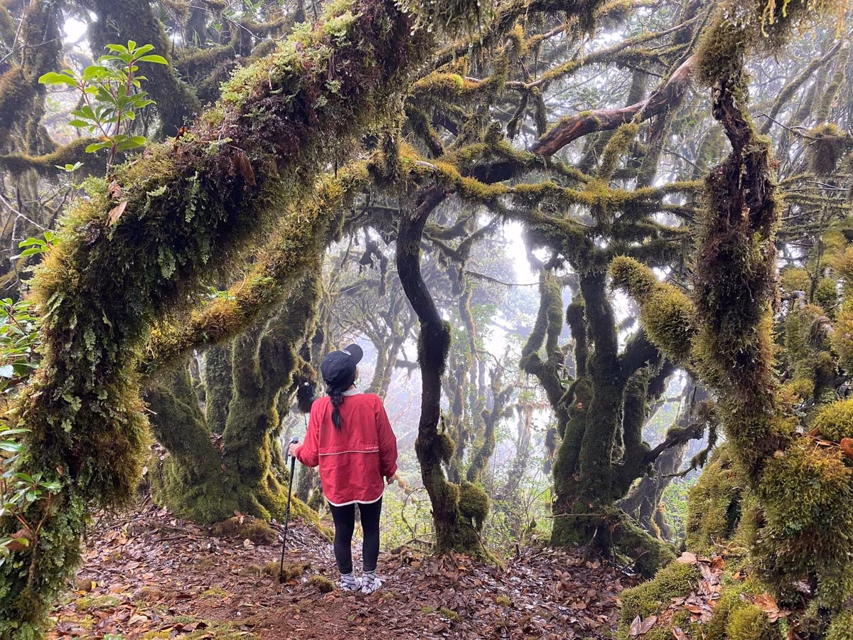 Gioi tre ru nhau chinh phuc bien may giua dai ngan Tay Bac-Hinh-14