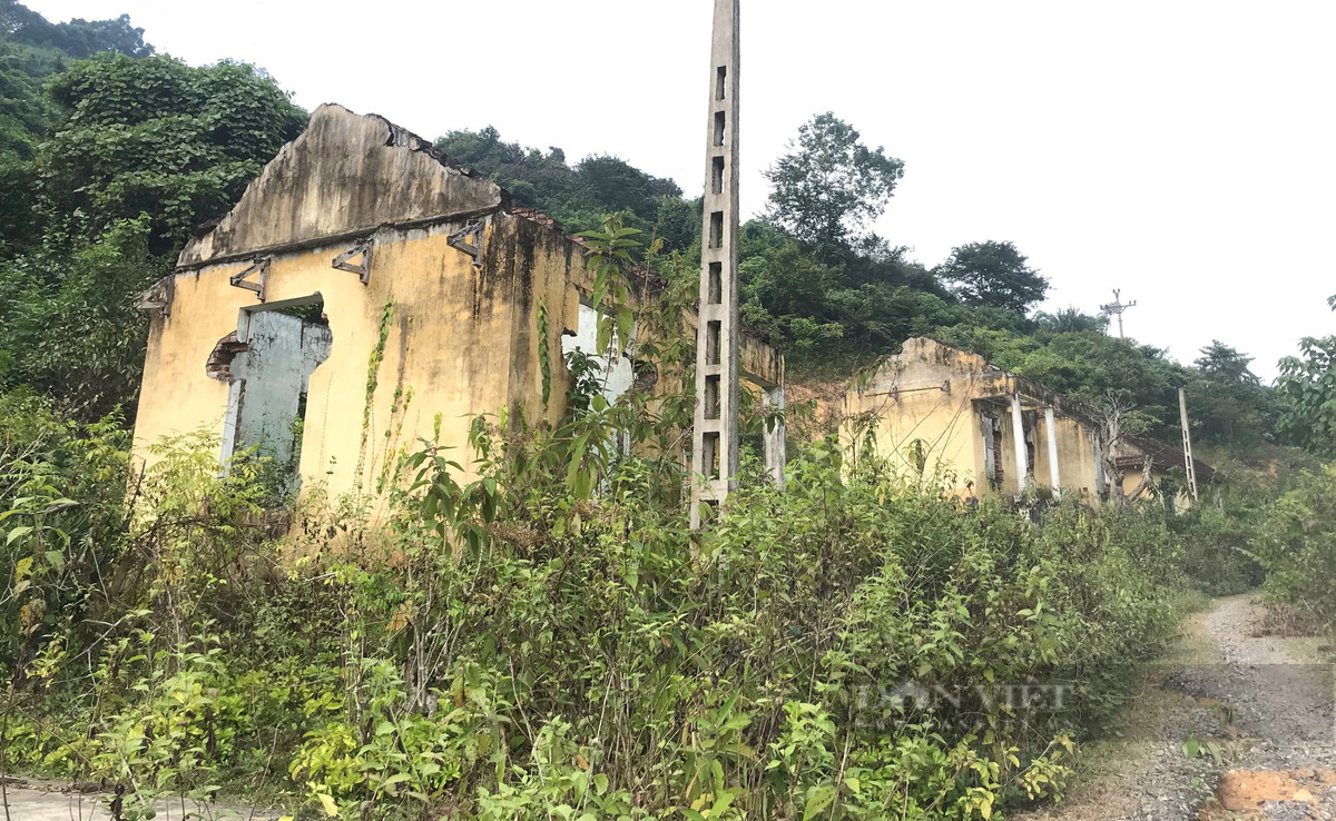 Vì nhiều lý do nên chỉ sau vài năm sinh sống người dân dần rời bỏ khu tái định cư này. (Ảnh: Dân Việt).