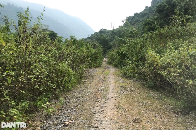 Những con đường trong Khe Ò bị xói mòn, hư hỏng, 2 bên cỏ dại mọc um tùm. (Ảnh: Dân Trí).