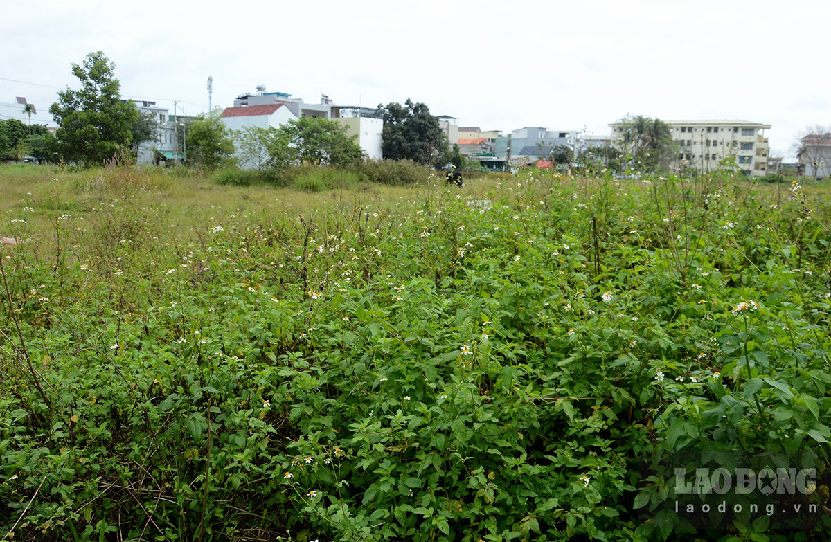 Nguyên nhân “đội vốn” dự án dù mới triển khai bước đầu được lý giải là do chi phí bồi thường được xác lập tăng đột biến. (Ảnh: Lao Động).