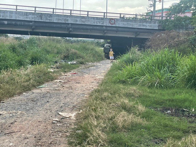 Nhiều con đường dẫn vào khu dân cư dọc kênh ở quận 12, TP.HCM cỏ mọc um tùm. (Ảnh: Người lao động).