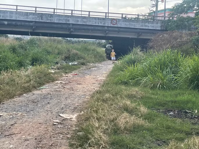 Nhiều con đường dẫn vào khu dân cư dọc kênh ở quận 12, TP.HCM cỏ mọc um tùm. (Ảnh: Người lao động).