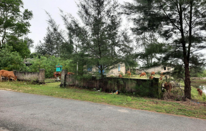 Tuy nhiên, sau 3 năm được khởi công, dự án Khu bến cảng Mỹ Thủy vẫn là bãi đất hoang.