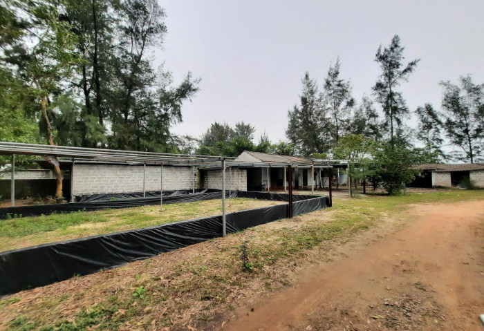 Một lãnh đạo UBND huyện Hải Lăng cho biết, hiện nay đang tập trung để hoàn thành bàn giao mặt bằng phạm vi hồ nuôi tôm với diện tích khoảng 19,13ha trong tháng 2/2023. Phấn đấu trình thẩm định, phê duyệt phương án, kinh phí bồi thường, hỗ trợ giải phóng mặt bằng các hộ dân còn lại trong tháng 2/2023.