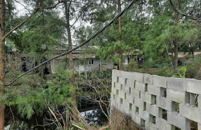 Tại cuộc làm việc với UBND tỉnh Quảng Trị vào tháng 5/2022, MTIP đã báo cáo phương án tái cơ cấu sở hữu vốn và tái cấu trúc quản lý doanh nghiệp; xây dựng các giải pháp cấp bách để đảm bảo dự án không bị gián đoạn.