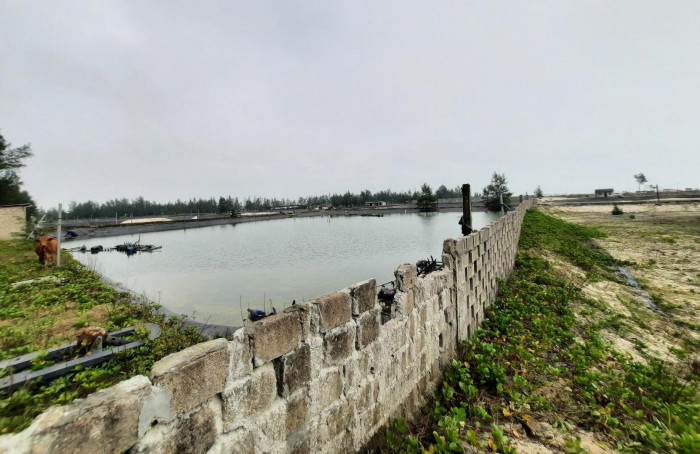 Đối với công tác áp giá lập phương án di dời tái định cư cho 28 hộ dân và phương án bồi thường, hỗ trợ máy móc thiết bị, dụng cụ nuôi tôm; công tác công khai, thẩm định, phê duyệt (phạm vi 22,73ha còn lại) hoàn thành trong tháng 2/2023; chi trả tiền trước 28/2/2023.