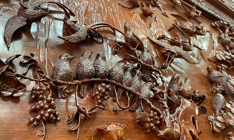 … hay cùng nhau cất tiếng hót líu lo trên cành cây.