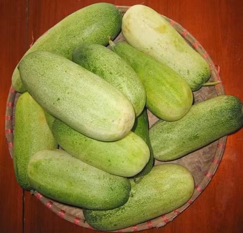 Dưa mèo. Đây là giống dưa chuột to kỷ lục: quả to nhất cân được 2,1kg, quả nhỏ nhất cũng500g. Quả dài 25-30cm, đường kính quả to nhất đo được 8,5cm, ruột trắng, cùi dày, nhiều hạt. Dưa mèo ăn giòn, ngọt mát, có mùi thơm đặc trưng của dưa chuột. Thường trồng vào đầu mùa mưa, tháng 2-3 để thu hoạch cùng với ngô tháng 6-7, mỗi cây dưa mèo cho 2-3 quả, mỗi sào thường cho sản lượng 200-300 kg.