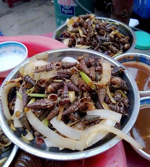 Ốc len xào dừa 40-42 Lê Lợi, quận Ngô Quyền cũng là quán ngon Hải Phòng nổi tiếng. Hải sản là món không nên bỏ lỡ khi đến với đất cảng, ốc len ốc móng tay xào với dừa ăn ngon ngọt, vị rất ngậy và thơm với giá 50.000 đồng một đĩa.