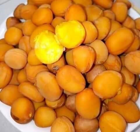 Quả mề gà mọc thành chùm như cánh quạt. Lúc chín có màu đỏ lựng như ớt trông rất đẹp mắt. Ảnh: 24h.