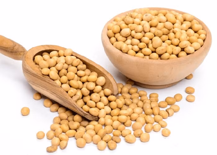  Người bị tim mạch nên ăn các loại đậu, nhất là đậu nành do loại đậu này chứa nhiều chất dinh dưỡng có tác dụng rất tốt trong điều hòa nhịp tim, cân bằng huyết áp,...Ảnh: tgdd.