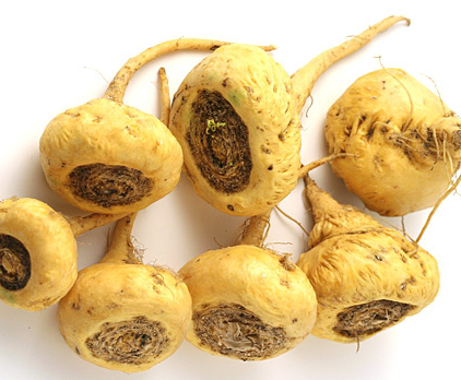 Củ maca cũng nằm trong danh sách thực phẩm giúp tăng cường khả năng sinh sản và chức năng tình dục bạn có thể thêm vào chế độ ăn hàng ngày. Ảnh: holaandina.