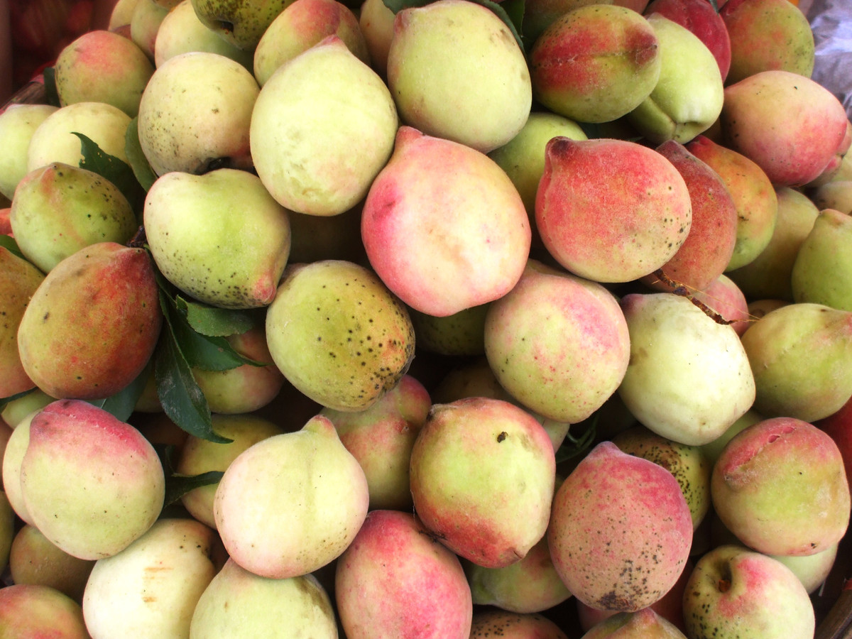 Acid citric công nghiệp là chất gây hại cho hệ thống thần kinh, bệnh dị ứng, thậm chí ung thư. Ảnh: tgdd.