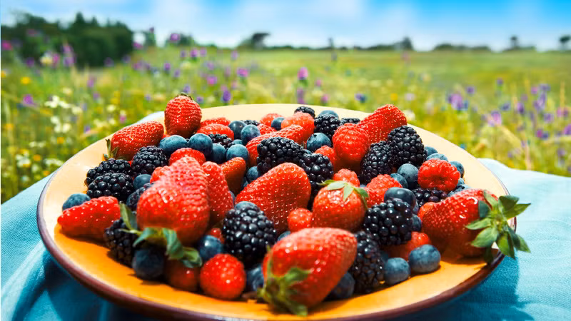 Các loại quả mọng chứa quercetin có thể giúp ngăn chặn một số quá trình viêm liên quan đến viêm khớp dạng thấp. Ảnh: vtv1.