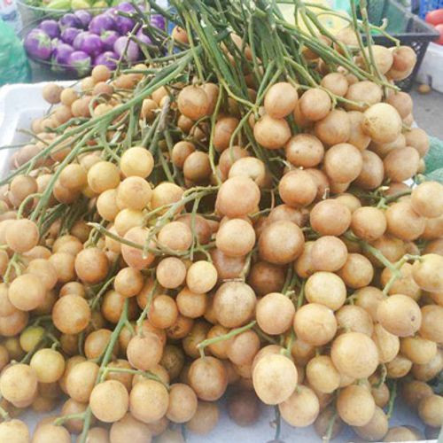 Để có cho ra được mẻ nước quất hồng bì ngon, không bị nổi váng thì bạn nên lựa chọn những quả quất hồng bì chín đồng đều, da căng bóng. Ảnh: googleapis.