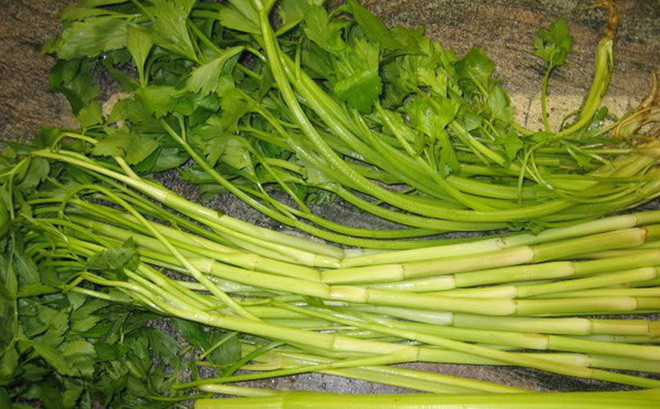 Rau cần nếu phun thuốc để một ngày không nhúng nước, rau sẽ khô héo, thân tóp lại. Còn nếu bị phun quá nhiều thuốc trừ sâu và phân bón, thân rau sẽ to, ngó trắng phau bất thường. Ảnh: sohacdn.