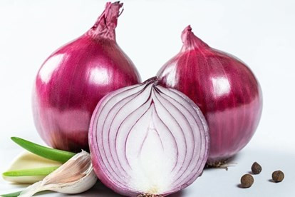 Nước ép hành tây có tính kháng khuẩn sẽ giữ cho da đầu của bạn sạch sẽ. Ngoài ra, lưu huỳnh có trong hành tây ngăn ngừa rụng tóc.