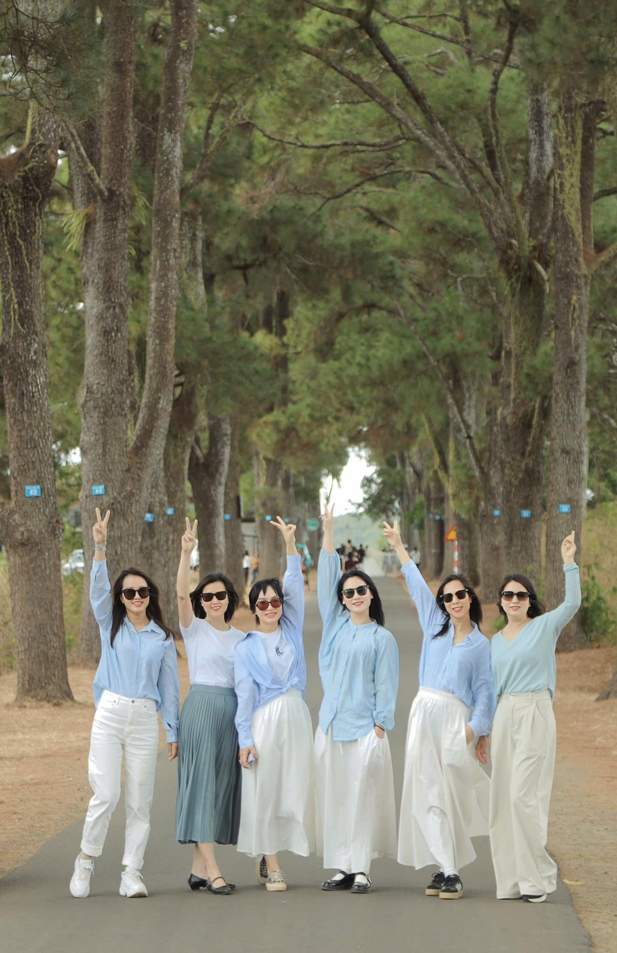 "Chạy trốn nồm" hoà mình vào cảnh sắc thiên nhiên tươi đẹp nơi đất đỏ bazan. Ảnh Thuy Vinh