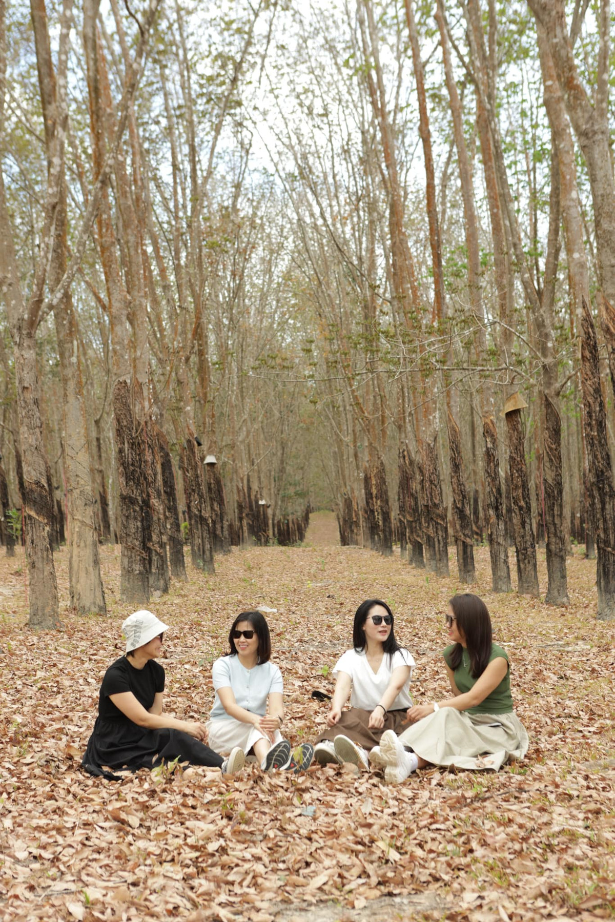 Sắc vàng, sắc đỏ của những hàng cây cà chít, cẩm liên, dầu đồng... như càng rực rỡ hơn trong ánh nắng và màu xanh thẳm của bầu trời. Ảnh Thuy Vinh