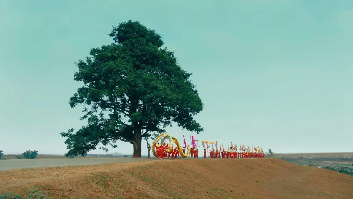 Nằm trên đê Hữu Chấp, thuộc xã Hòa Long, TP Bắc Ninh, cây "cô đơn" (tên gọi không chính thức) là địa điểm nổi tiếng, thu hút nhiều bạn trẻ và du khách đến chụp ảnh, check-in. Ảnh