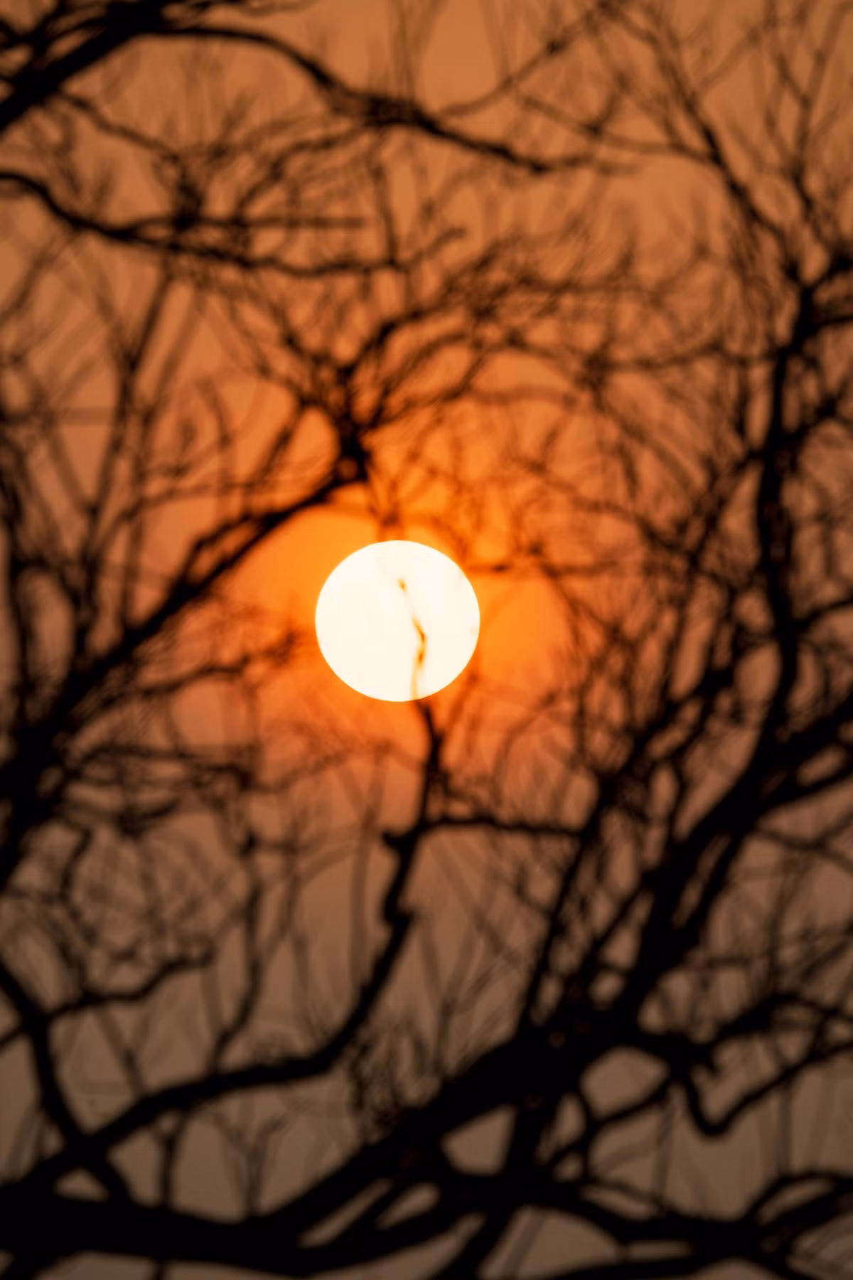 Hoàng hôn ở Huế không chỉ đơn thuần là sự chuyển giao của thời gian, mà còn là khoảnh khắc để lòng người lắng đọng, để cảm nhận vẻ đẹp thơ mộng của vùng đất cố đô. Ảnh Kelvin Long