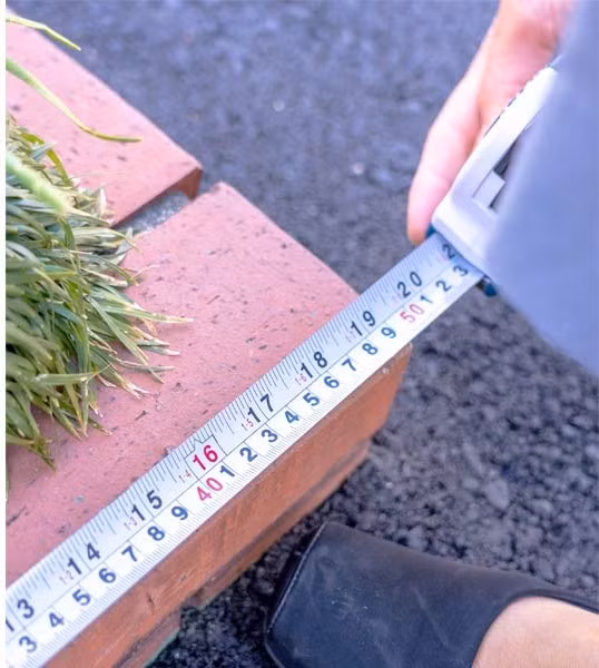 Địa điểm này thu hút sự chú ý trên mạng xã hội những năm gần đây khiến chính quyền thành phố quyết định đăng ký địa chỉ là một công viên và nộp đơn lên Tổ chức Kỷ lục Guinness để được công nhận chính thức. Ảnh Guinness World Records