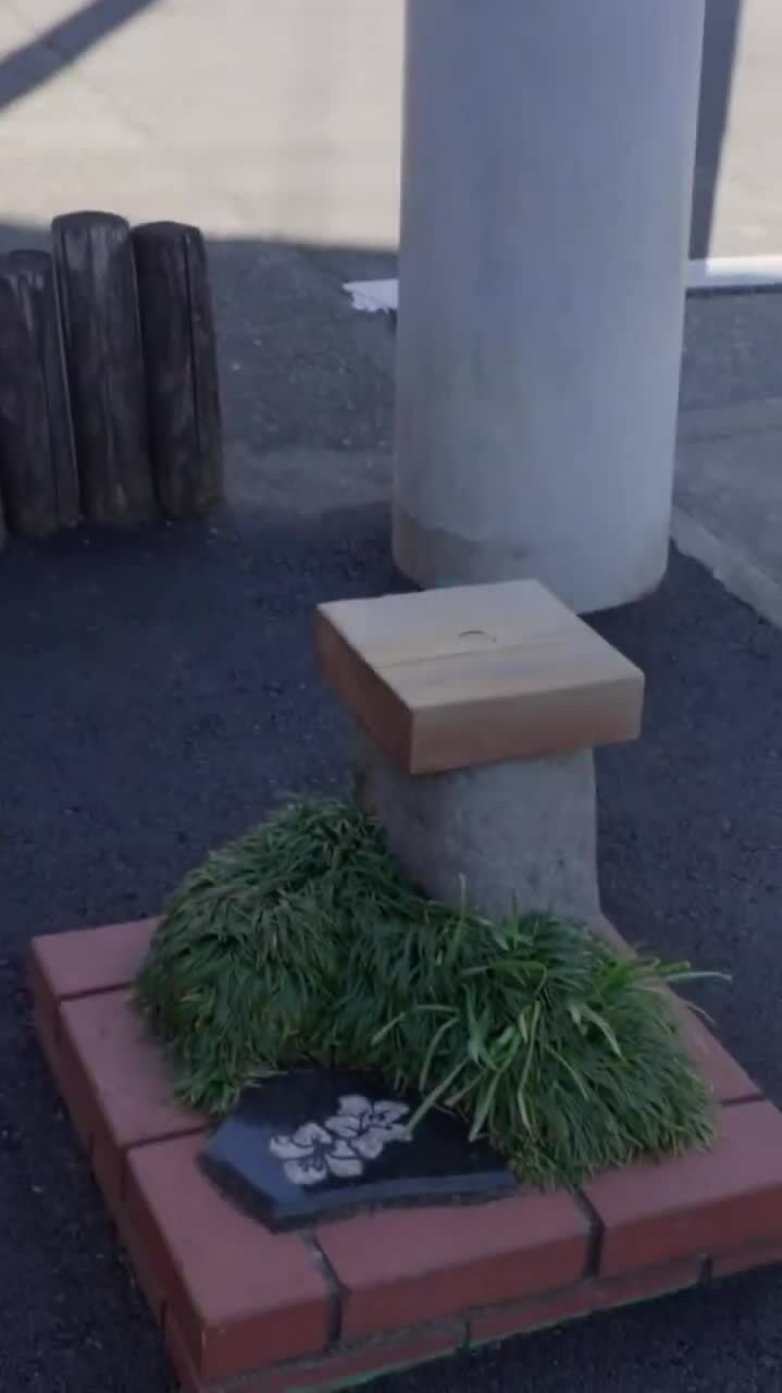 Ngày nay, công viên được người dân địa phương sử dụng làm nơi thư giãn cũng như khách du lịch chụp ảnh. Ảnh Guinness World Records