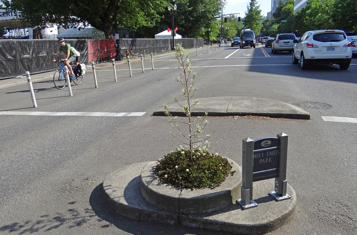 Tổ chức Kỷ lục Guinness Thế giới đã công nhận phần diện tích "siêu nhỏ" của công viên này chỉ vỏn vẹn 0,292m2, với đường kính là 0,61m. 