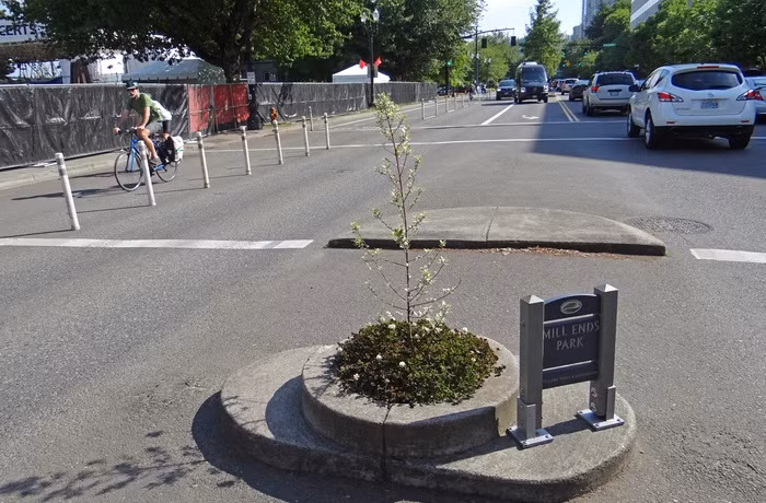 Tổ chức Kỷ lục Guinness Thế giới đã công nhận phần diện tích "siêu nhỏ" của công viên này chỉ vỏn vẹn 0,292m2, với đường kính là 0,61m. 