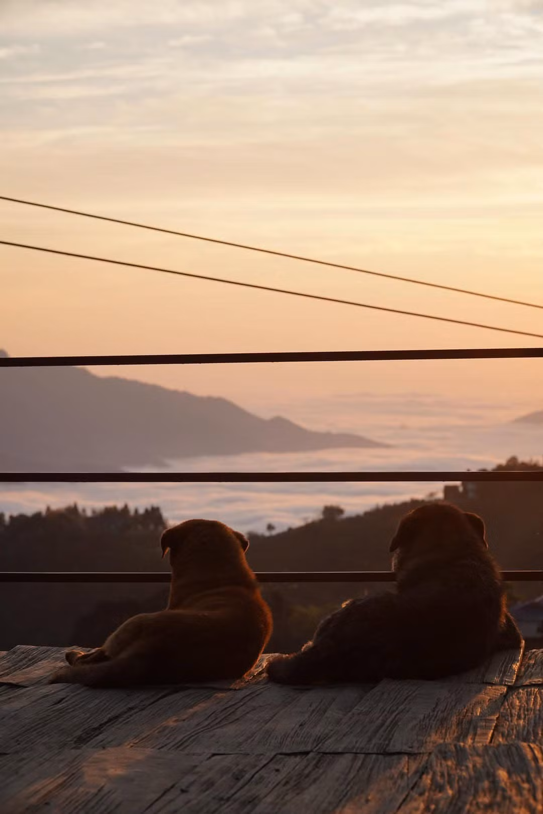 Với không khí trong lành, cảnh sắc thiên nhiên hùng vĩ, đẹp tựa chốn "tiên cảnh", cùng những nụ cười thân thiện của bà con dân tộc bản địa hiền lành, mến khách, “Thiên đường mây Tà Xùa” đã và đang trở thành điểm đến hấp dẫn của du khách trong hành trình đến với Sơn La và Tây Bắc. Ảnh Internet