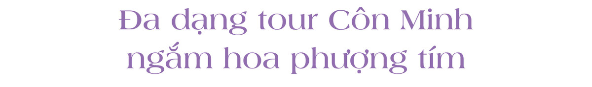 Hoa phuong tim dep ruc ro o Con Minh hut du khach-Hinh-2