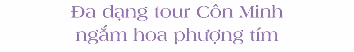 Hoa phuong tim dep ruc ro o Con Minh hut du khach-Hinh-2