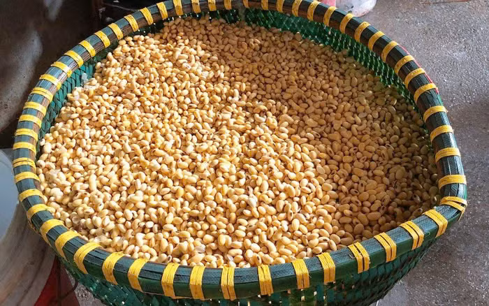 Để có bìa đậu thơm, ngon, mềm mịn, bảo đảm an toàn vệ sinh thực phẩm, người làm đậu lựa chọn loại đỗ tương có hạt to, mẩy, chắc, sau đó vo rửa sạch, loại bỏ tạp chất rồi ngâm ngập nước trong khoảng từ 5 đến 7 giờ. Ảnh Internet
