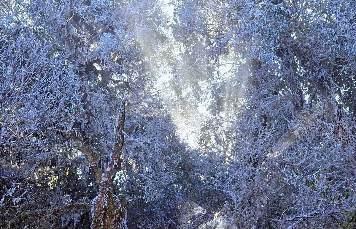 Thông thường, băng giá chủ yếu xuất hiện vào tháng 12 đến tháng 2 khi miền Bắc chìm trong giá rét.