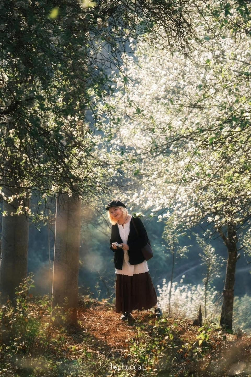 Những chùm hoa sơn tra trắng tinh khôi, khiến cho du khách ngỡ mình đang được du ngoạn Hàn Quốc, Nhật Bản.