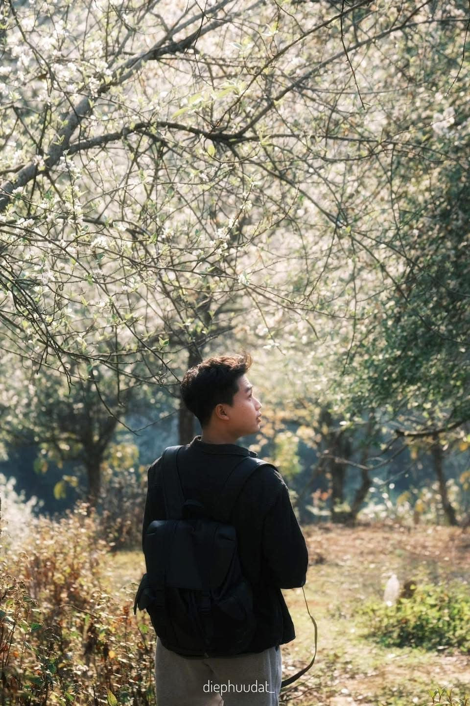 Giữa không gian hoang sơ của núi rừng, màu trắng của hoa sơn tra càng trở nên nổi bật, tạo nên bức tranh thiên nhiên yên bình, thơ mộng.