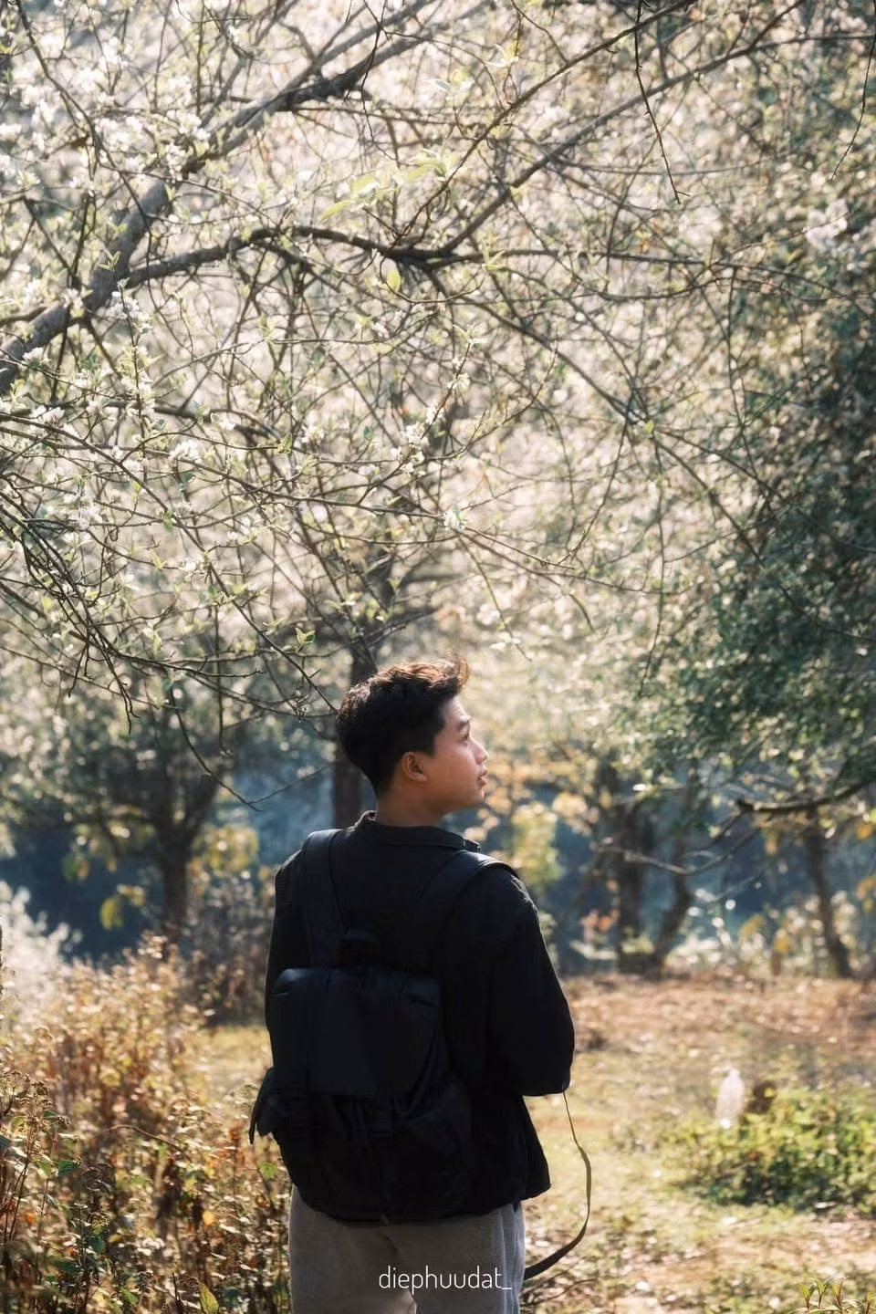 Giữa không gian hoang sơ của núi rừng, màu trắng của hoa sơn tra càng trở nên nổi bật, tạo nên bức tranh thiên nhiên yên bình, thơ mộng.