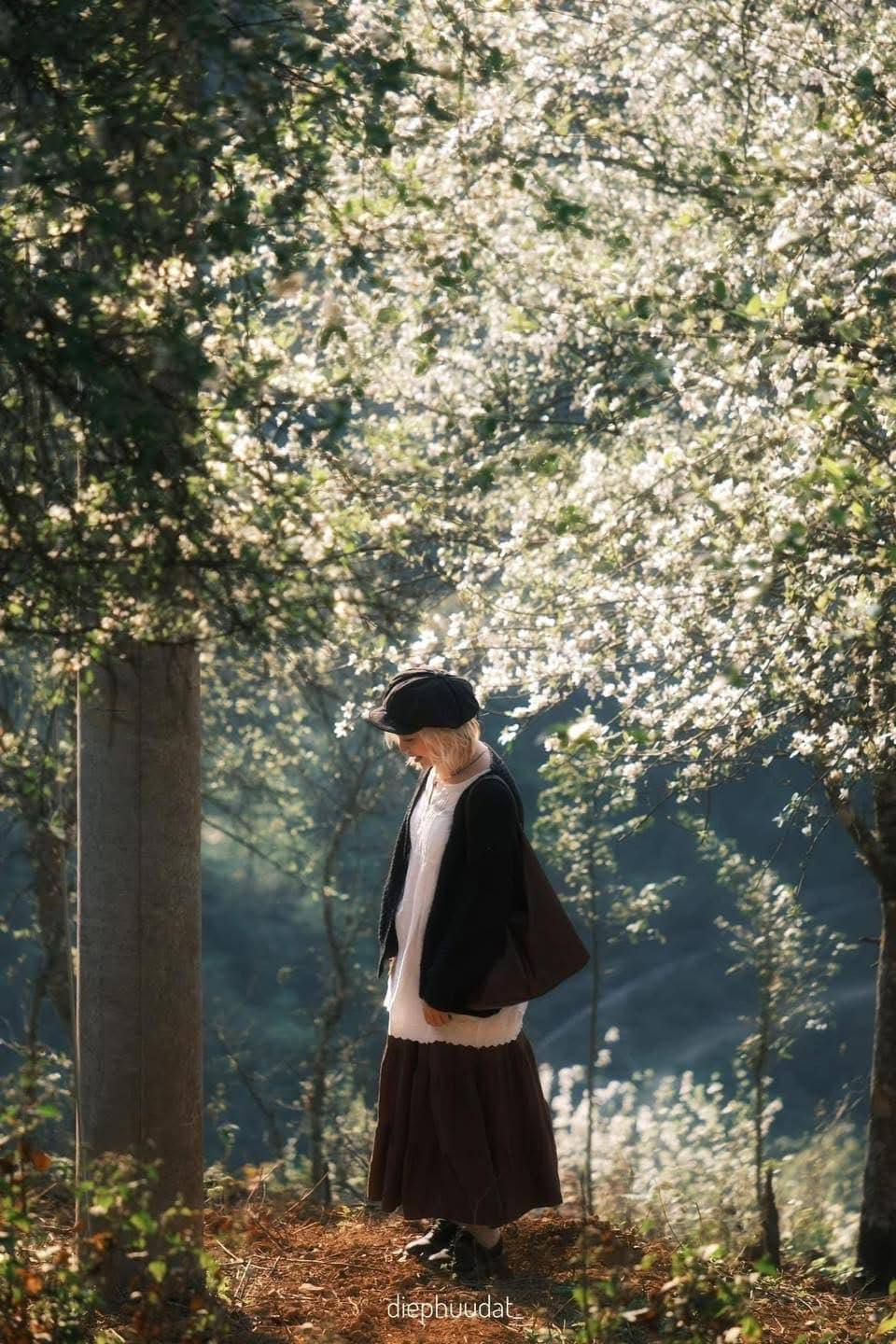 Mùa hoa sơn tra thường kéo dài từ tháng 3 đến tháng 4, thu hút nhiều du khách và nhiếp ảnh gia đến chiêm ngưỡng, săn ảnh.