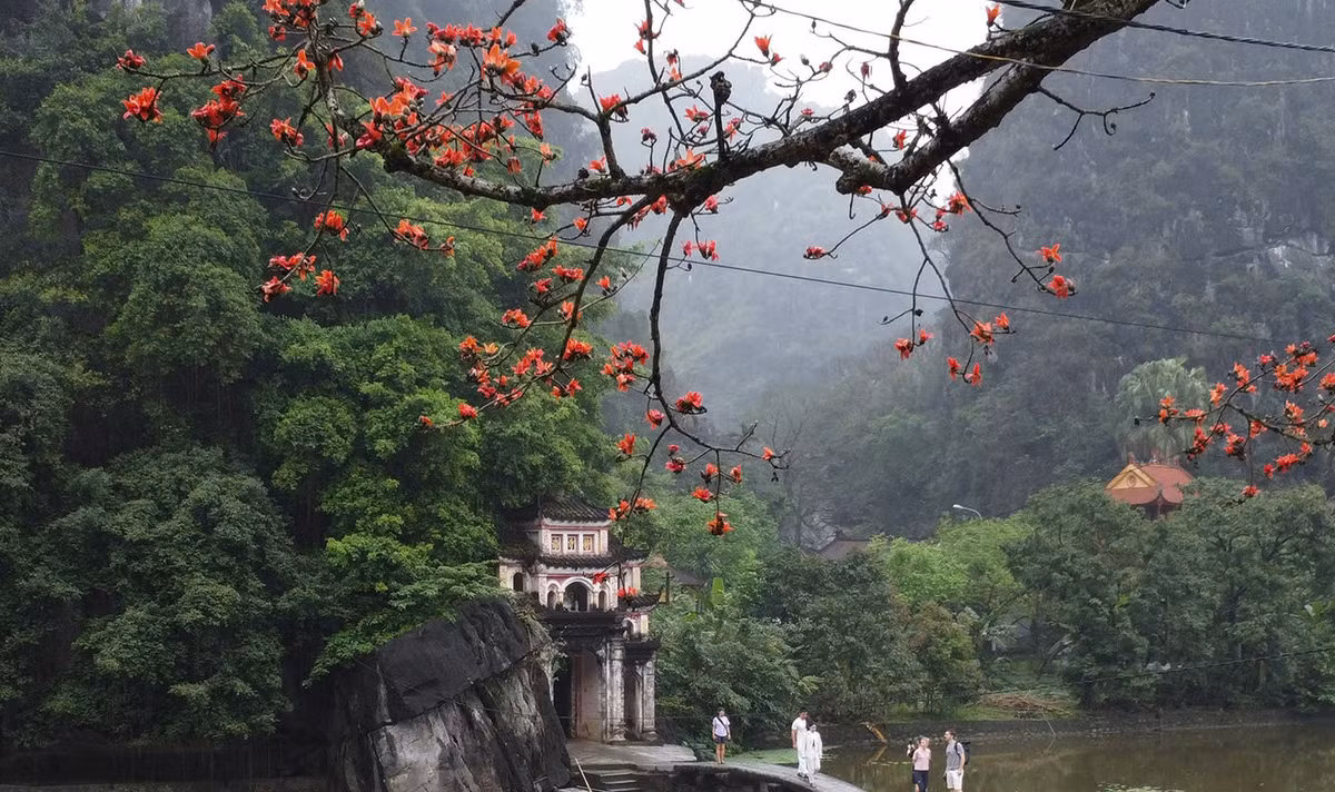 Nhiều du khách cũng chọn thời điểm này để đến thăm chùa, tìm về những phút giây tĩnh lặng giữa thiên nhiên và lịch sử.