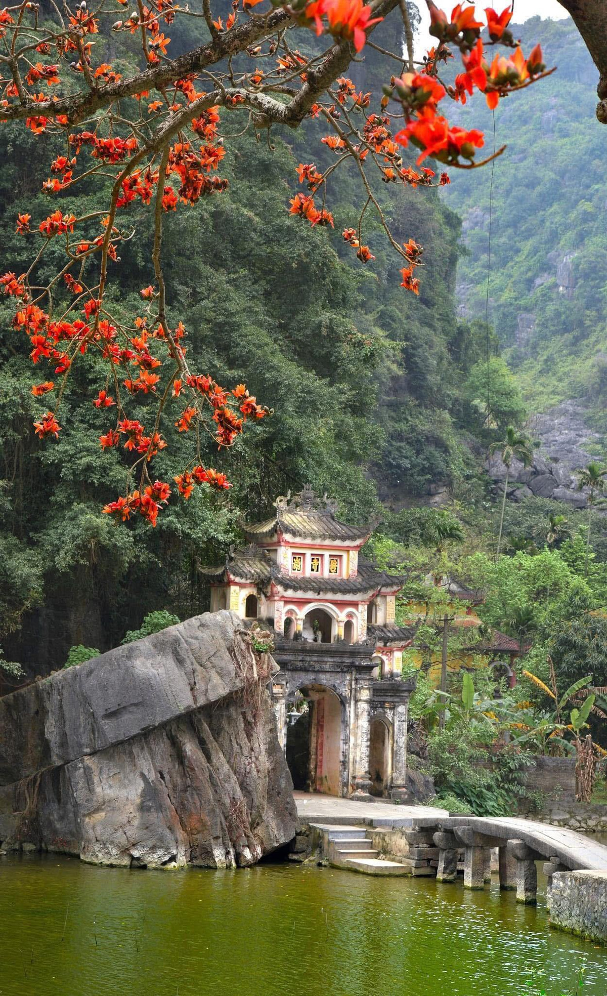 Hãy thả mình trong không gian cổ kính, lắng nghe tiếng chuông chùa vang vọng, ngắm những cánh hoa đỏ rực rơi nhẹ trên sân gạch, để cảm nhận sự giao thoa giữa quá khứ và hiện tại. Ảnh Đinh Văn Linh