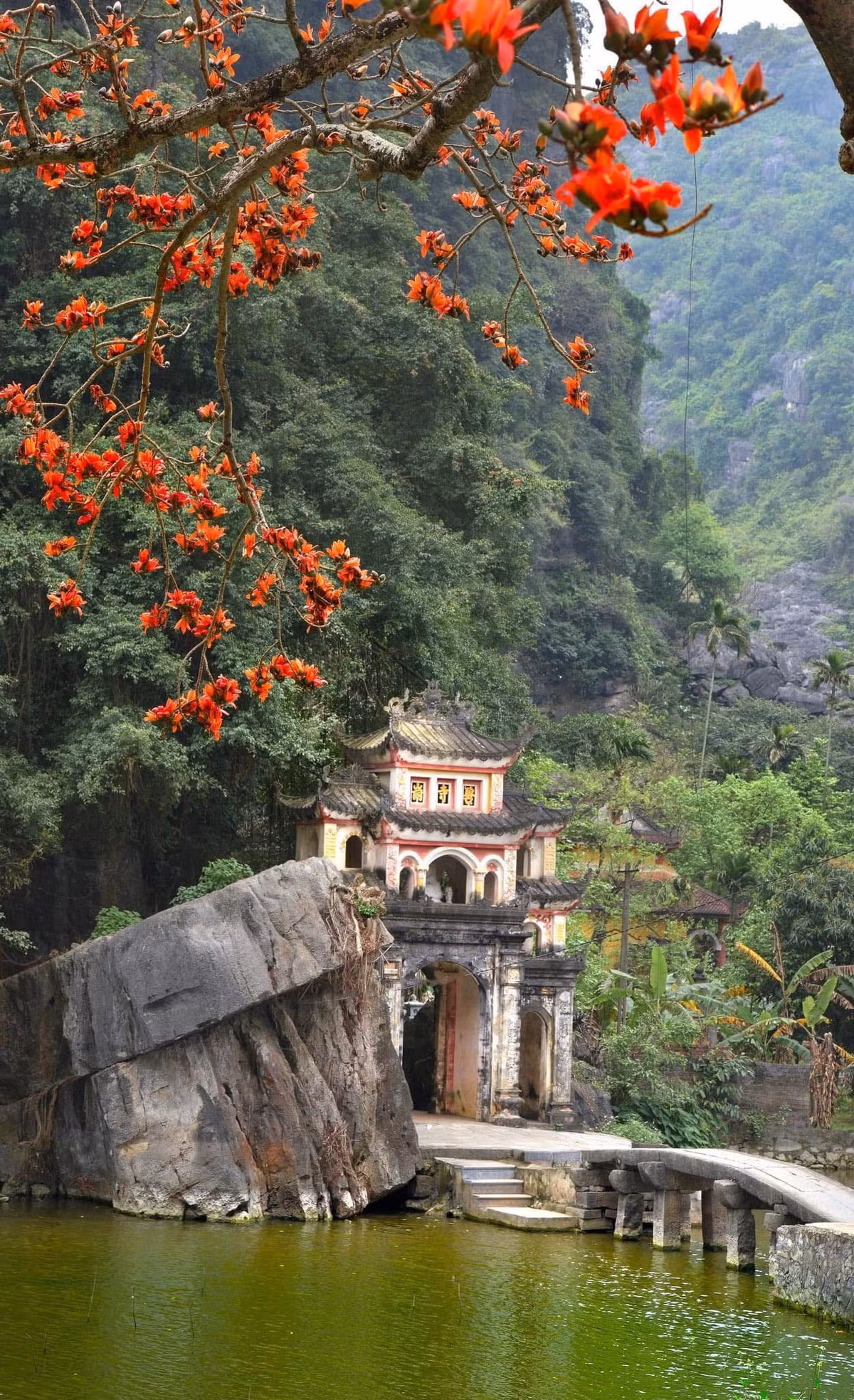 Hãy thả mình trong không gian cổ kính, lắng nghe tiếng chuông chùa vang vọng, ngắm những cánh hoa đỏ rực rơi nhẹ trên sân gạch, để cảm nhận sự giao thoa giữa quá khứ và hiện tại. Ảnh Đinh Văn Linh