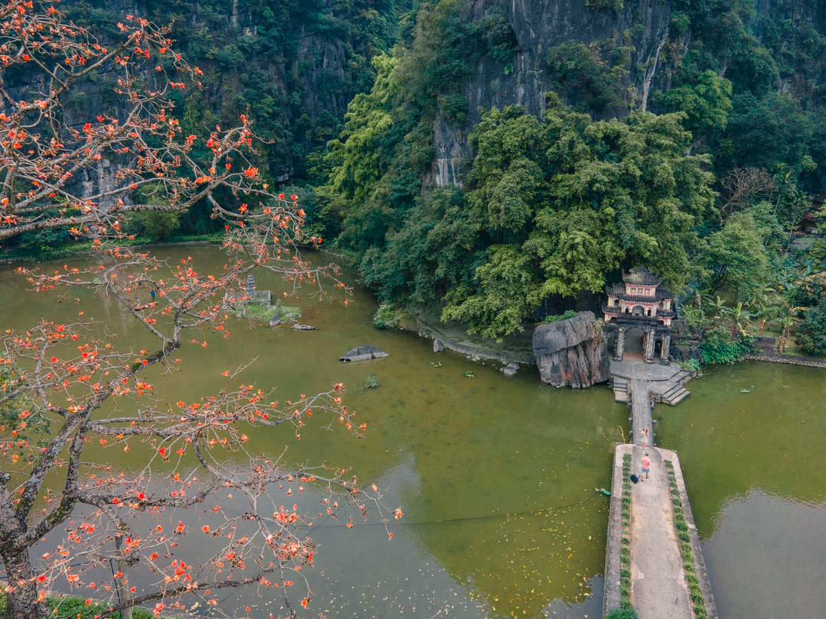 Mỗi mùa hoa mộc miên nở, sắc đỏ của hoa làm nổi bật vẻ cổ kính của chùa, thu hút nhiều du khách và phật tử đến chiêm bái, thưởng ngoạn.