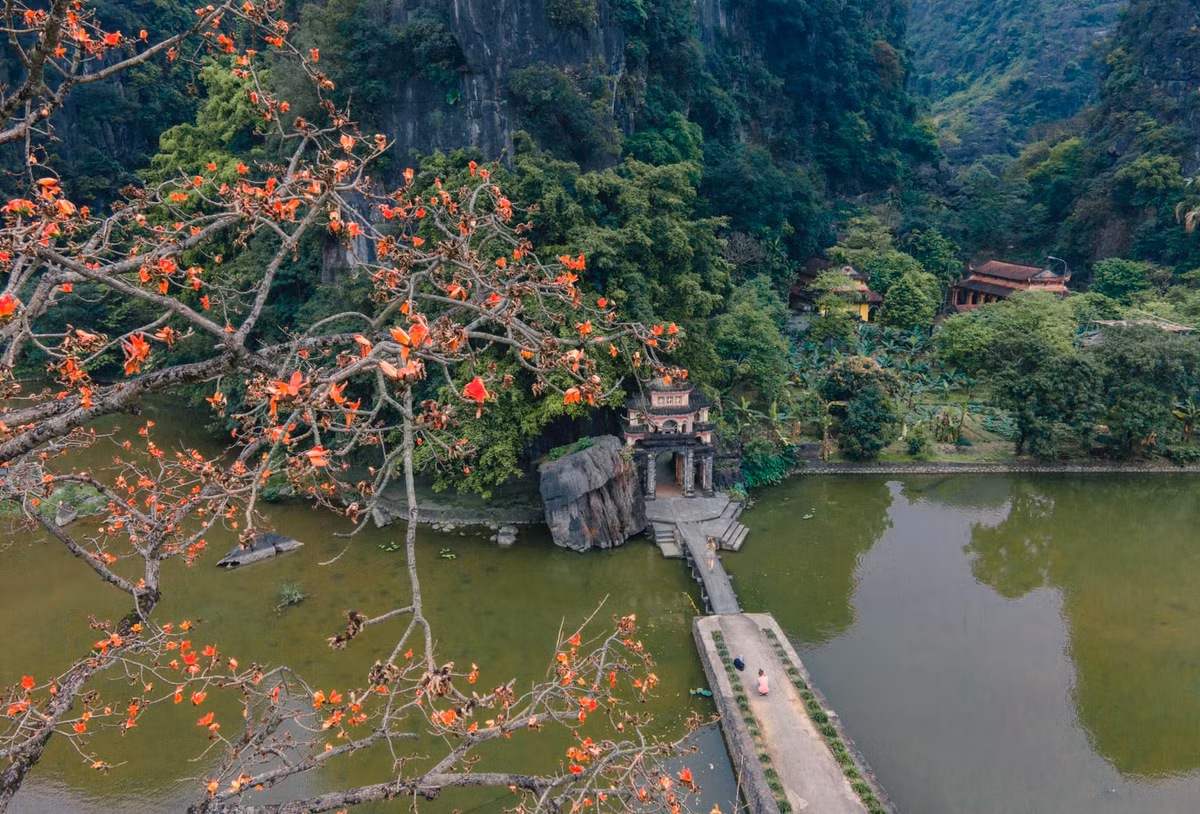 Mùa hoa mộc miên ngắn ngủi nhưng để lại những ấn tượng sâu sắc trong lòng mỗi người. Đó không chỉ là một mùa hoa, mà còn là một phần ký ức đẹp về quê hương, về những giá trị văn hóa truyền thống còn mãi với thời gian. Ảnh Internet